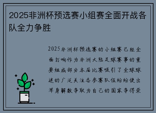 2025非洲杯预选赛小组赛全面开战各队全力争胜