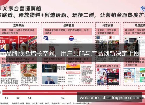 品牌联名增长空间,用户共鸣与产品创新决定上限 品牌联名增长空间,用户共鸣与产品创新决定上限